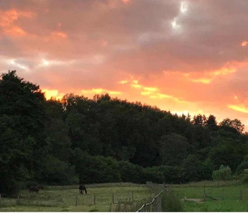Woodmill Farm Holiday home *