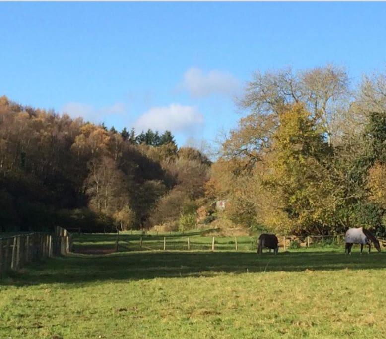 Woodmill Farm *