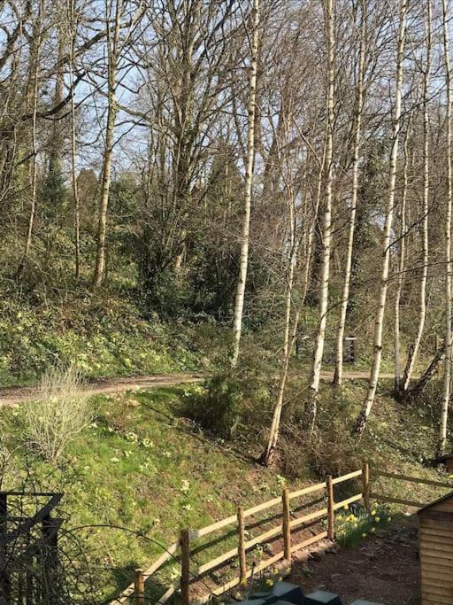 Woodmill Farm Alvington