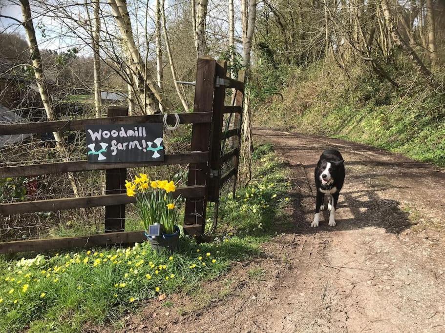 Woodmill Farm Holiday home Alvington
